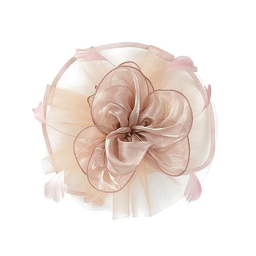 minkissy 1 Stück Hut Aus Federnetz Kirche Hüte Mode Elektrisch Brauthut Glockenhüte Für Damen Vintage Baskenmütze Damen Party Haarclip Kopfbedeckung Aus Mesh Für Damen Rosa Gittergewebe von minkissy