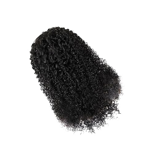 minkissy 1 Stück Lange Lockige Synthetische Perücke für Frauen Hitzebeständige Natürliche Aussehen Haarverlängerung mit Elastischem Spitzenkopfband für Partys Cosplay von minkissy