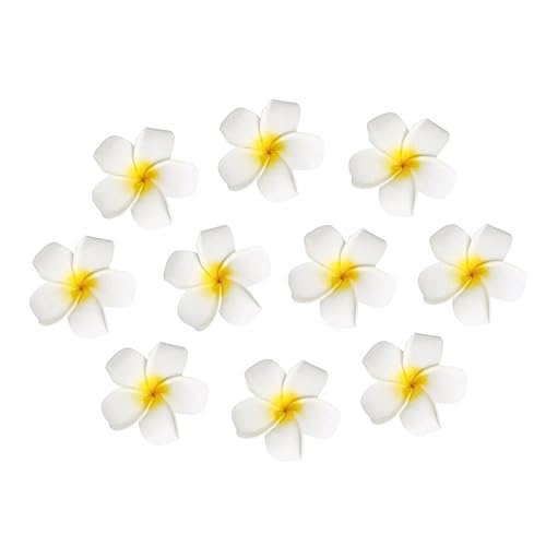 minkissy 10st Plumeria Haarnadeln Haar Clips Für M?dchen Plumeria Haar Clip Hawaiianische Haarblumenklammer Hawaiiflower Haar Clip Braut Haarspange Weiß Mädchen Stirnband Strand von minkissy