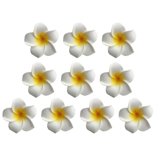 minkissy 10st Frangipani-kopfschmuck Haarschmuck Für Frauen Frangipani+haarschmuck Hawaiianischer Plumeria-blumenclip Tropical Haar Clip Hawaiian Haar Clip Eva Entenschnabel Strand Fräulein von minkissy