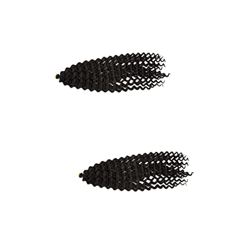 minkissy 2 Stücke Häkelnadeln Für Haar Flechten Perücken Pferdeschwanz Perücken Haarverlängerungen Zöpfe Lockiges Häkeln Haar Häkeln Box Zöpfe Afrikanischer Zopf Afrikanischer Schmutziger von minkissy