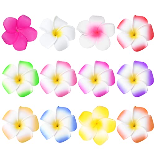 minkissy 24 Stück Plumeria Clips für 2. 4 in Hibiscus Flower Hair Barrettes Hawaiian Präsentationszubehör für Beach Luau Party Wedding Girls von minkissy