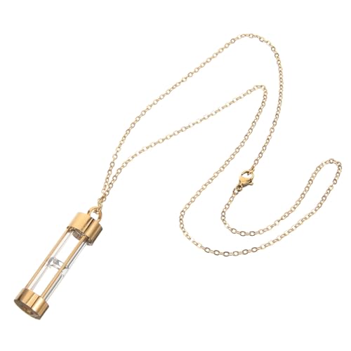 minkissy Urne Halskette für Hundeasche Hochwertiges Pendant Beständige Tiercremation Schmuck für Erinnerungen Treue Begleiter von minkissy