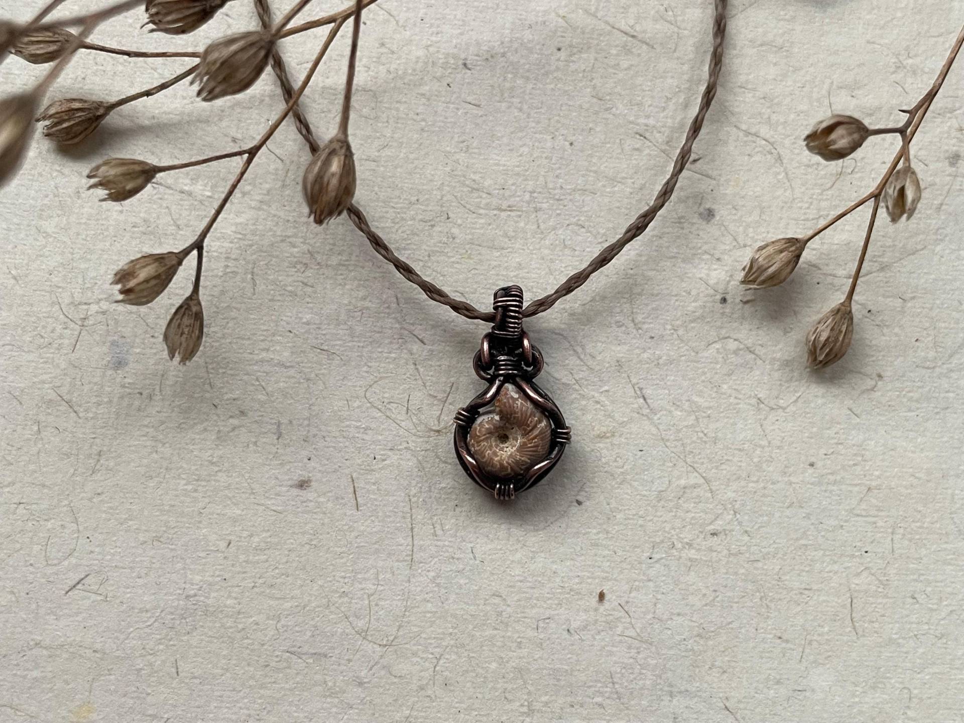Ammonit Fossil Halskette. Alte Weisheiten Bewahrer Talisman Handgemacht. Schnecke Kunst . Draht Gewickelt Anhänger. Reinem Kupferdraht von morlacreations
