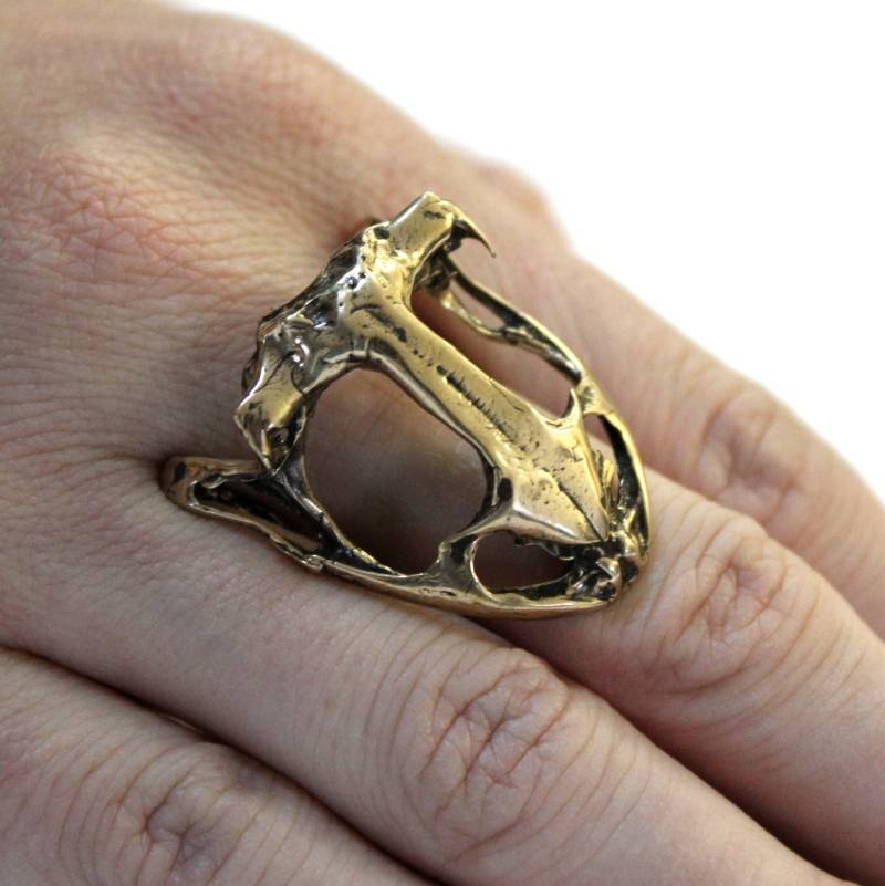 Ochsenfrosch Schädel Ring in Bronze Massiv von mrd74