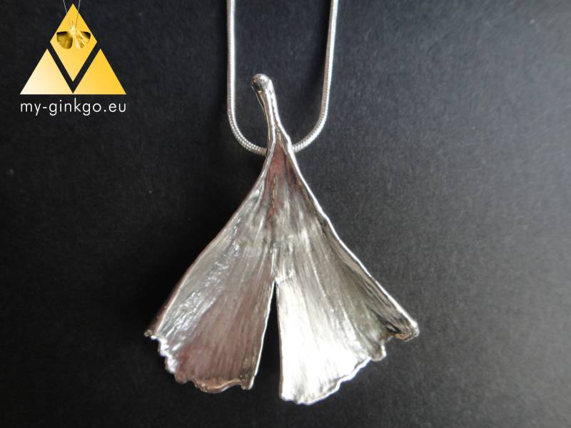Grosses Echtes Ginkgoblatt Versilbert Mit Kette M 92 Grosses Echtes Ginkgoblatt Versilbert Mit Kette M 92 von myGinkgo