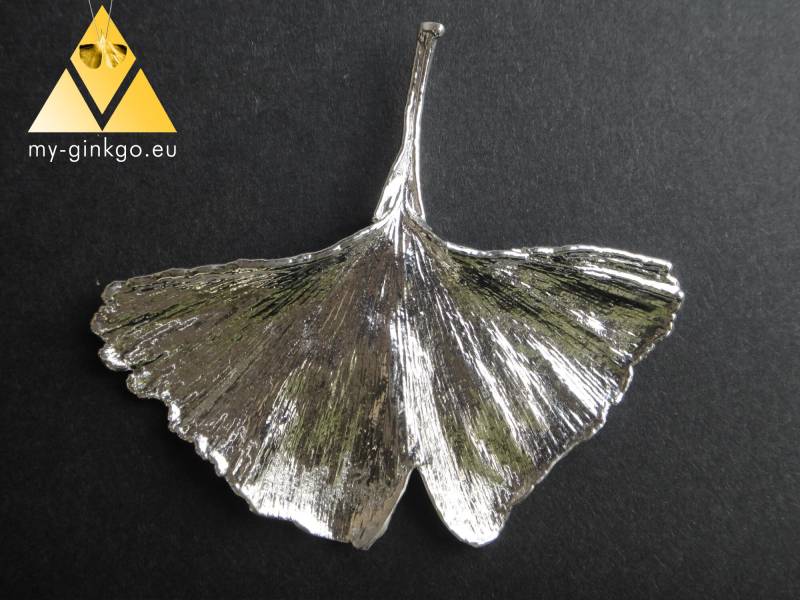 xl Amulett Echtes Ginkgoblatt Versilbert Glücksbringer Wandschmuck Fensterschmuck Ginkgo Biloba Blatt Talisman Unikat Große Naturform von myGinkgo