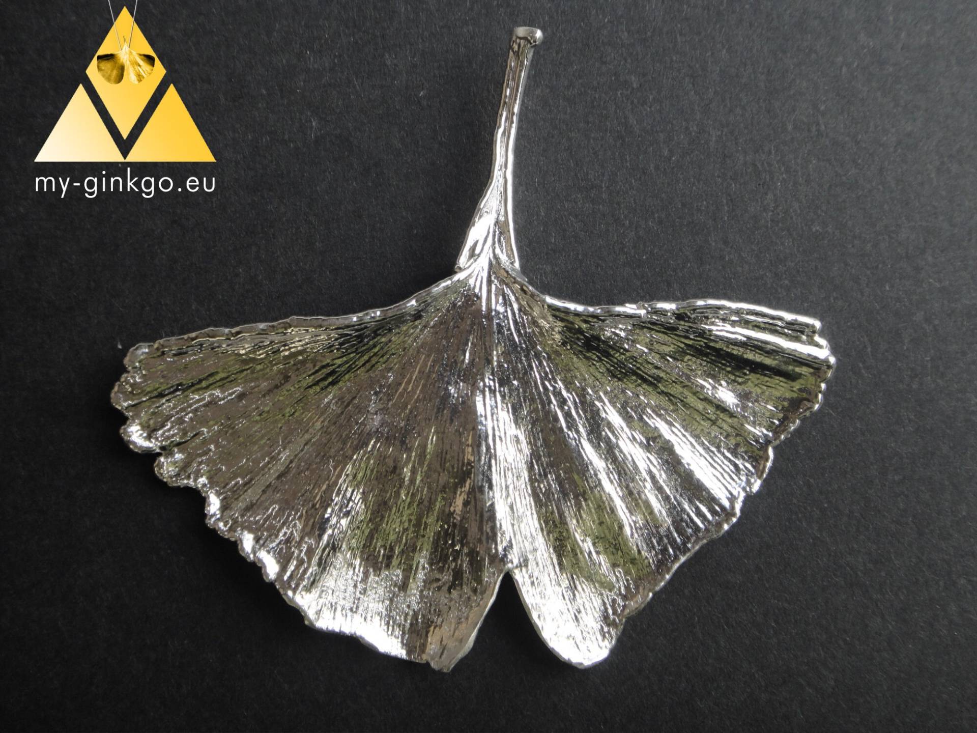xl Amulett Echtes Ginkgoblatt Versilbert Glücksbringer Wandschmuck Fensterschmuck Ginkgo Biloba Blatt Talisman Unikat Große Naturform von myGinkgo