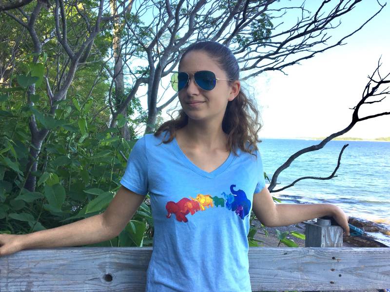 Elefant Regenbogen T-Shirt Damen Ausgestattet Heide V-Ausschnitt T-Shirt, Staubig Blau Elefant Regenbogen T-Shirt Damen Ausgestattet Heide V-Ausschnitt T-Shirt, Staubig Blau von nJoyArt