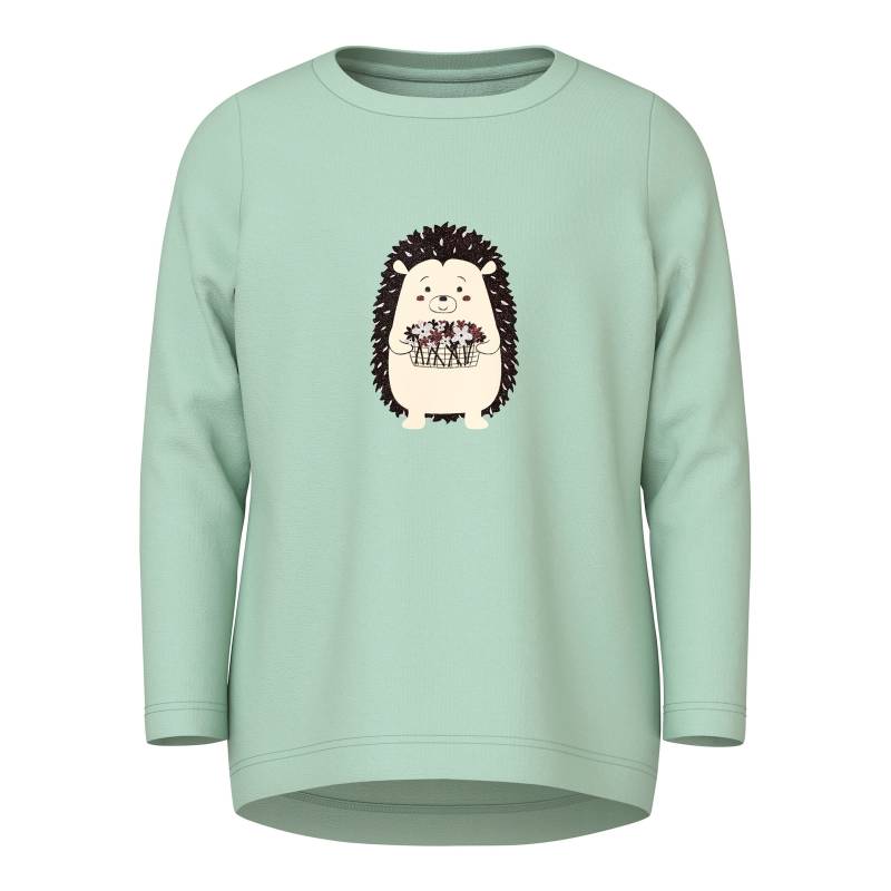 Name It Shirt langarm Igel von name it