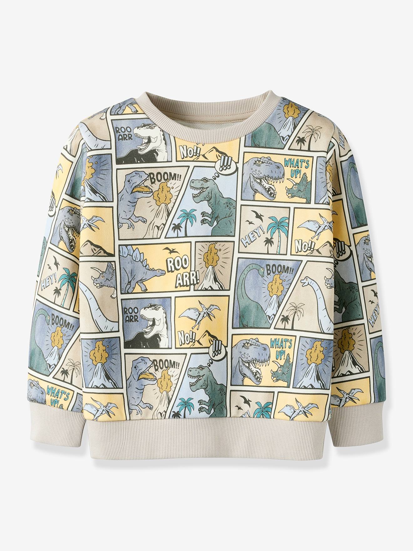 Sweatshirt NMMSIKALAS Jungen NAME IT von name it