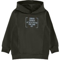 name it Sweatshirt Nmmrakan Rosin von name it