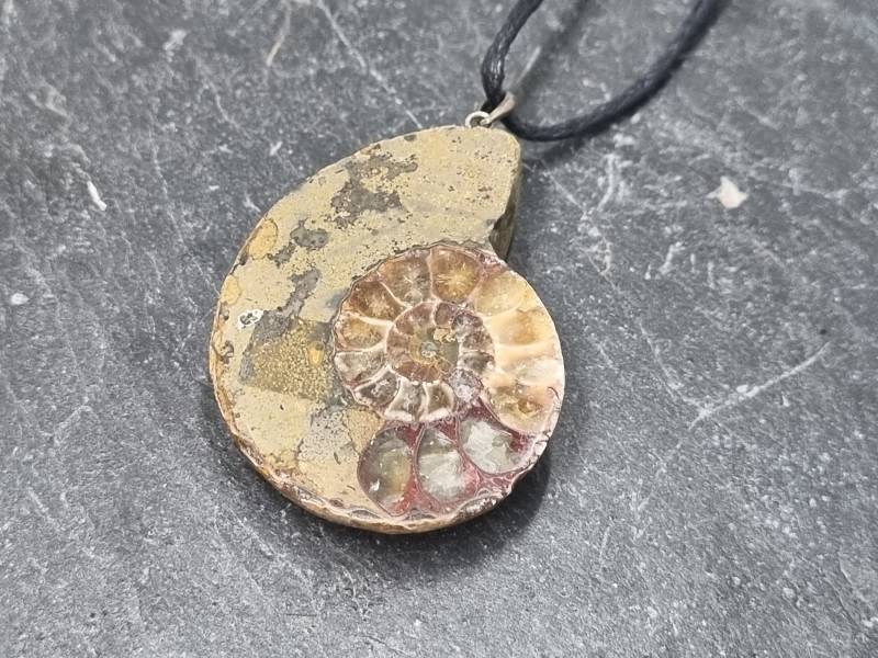 Eleganter Nautilus Glücksbringer Am Verstellbaren Textilband von naturalmysticsu
