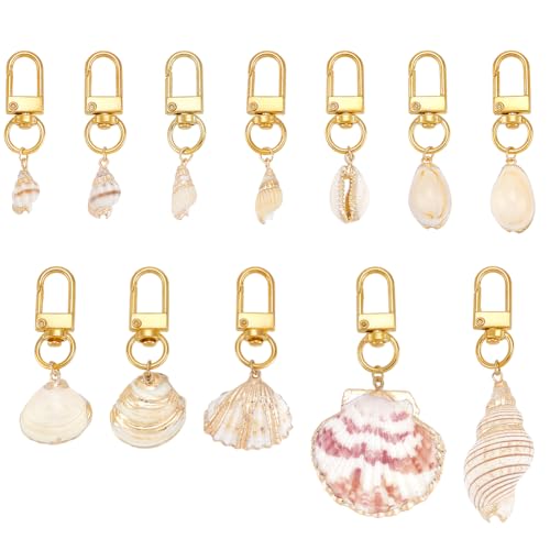 nbeads 12 Stk. 12 Stile Strand Schlüsselbund Zubehör, 5.05-7.7cm Muschel Tasche Charms Seashell Handtasche Schlüsselanhänger für Autoschlüssel Rucksack Handtasche Geschenke, Golden von nbeads