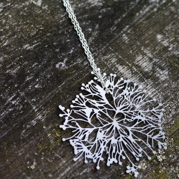 Algenblüte Anhänger von nervoussystem