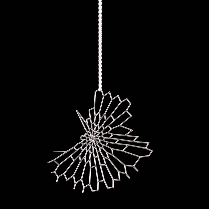 Radiolarie Anhänger Geätzter Edelstahl, Sterling Silber Kette Radiolarie Anhänger Geätzter Edelstahl, Sterling Silber Kette von nervoussystem