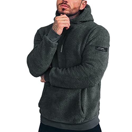 nicticsi Teddy Fleece Winter Pullover Herren Hoodie Kapuzenpullover Warm Weich Flauschig Sweater Fuzzy Oberteile mit Reißverschlüsse und Taschen Sweatshirt Stehkragen Übergangsjacke A Grau M von nicticsi