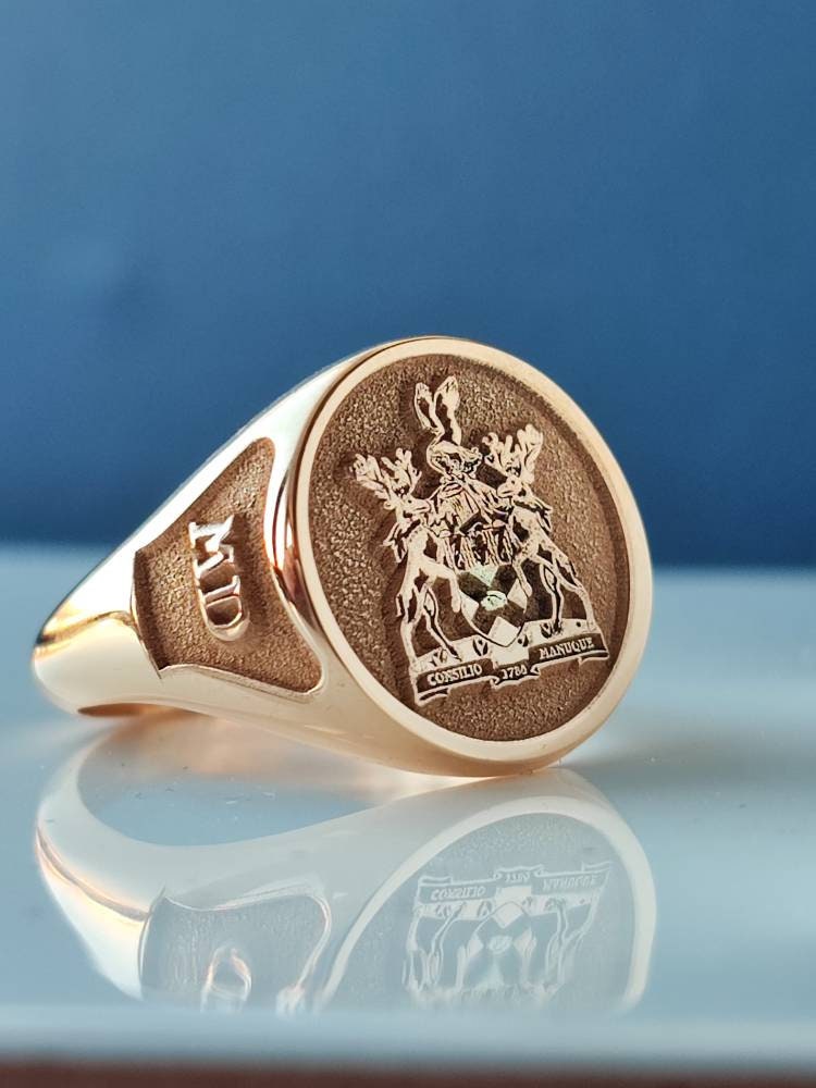 18K Massivgold Ring, Wappen Logo Familien Siegel Gold Herren Logo, Ringe, Ring von nidajewelers