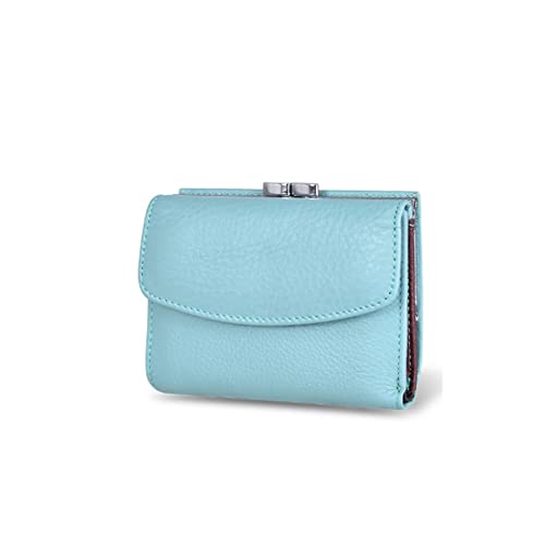 niei Geldbörsen für Damen Frauen Geldbörsen Kleine Mode Leder Geldbörse Frauen Damen Karton Tasche Handgriff Clutch Weibliche Geldbörse Geld Clip Brieftasche (Color : Blue) von niei