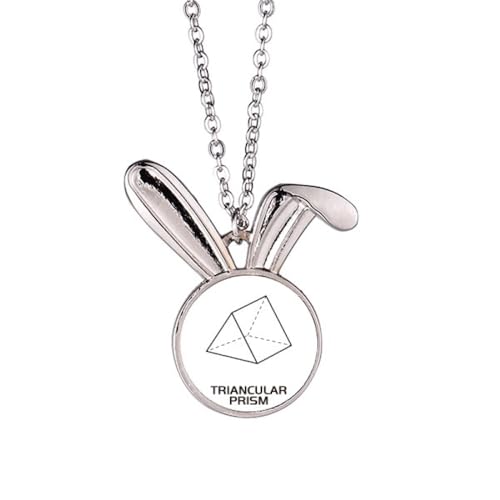 no/no Mathematischer geometrischer Sptriprismus-Hasen-Halskette, Anhänger, Hase, Tierschmuck, Geschenk von no/no
