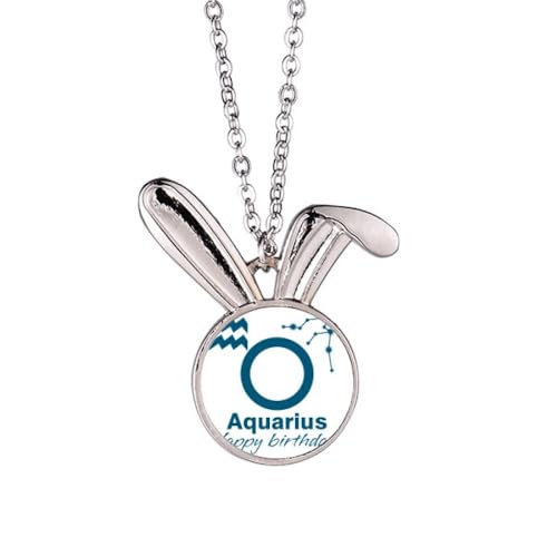 no/no Sternbild Schicksal Geburtstag Feier Kaninchen Halskette Anhänger Häschen Tier Schmuck Geschenk von no/no