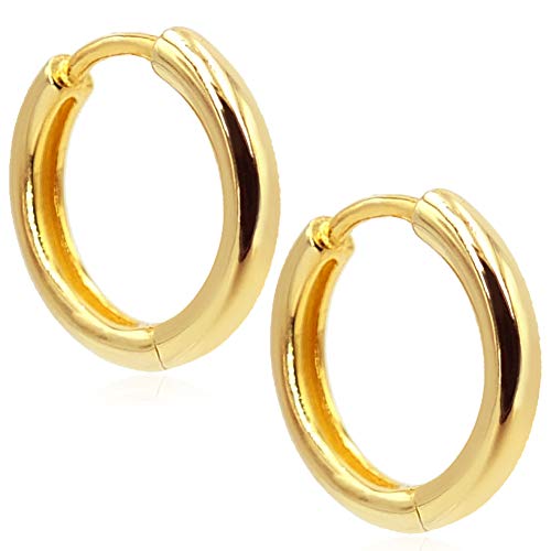 Creolen Silber 925 - Creolen Silber Gold Rosegold - Damen Herren - Creolen Klein Zierlich 14 mm - Knorpel Tragus Helix - Ohrringe zum Schlafen von Nobel