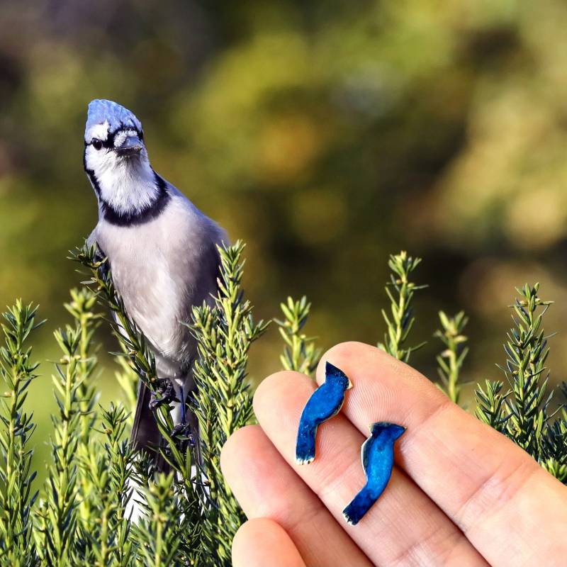 Winzige Blauhäherohrringe, Ohrstecker, Vogelliebhabergeschenk, Gedenkschmuck, Vogelschmuck, Vogelohrringe, Sympathiegeschenk von noracatherine
