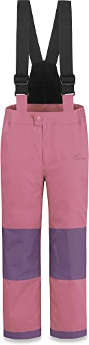 normani Kinder Thermohose Winterhose Skihose - Wasserdicht 11000 mm - für Jungen und Mädchen mit abnehmbaren Hosenträgern, verstärkten Knie- und Gesäßbereich Farbe Rosa Größe 128 von normani