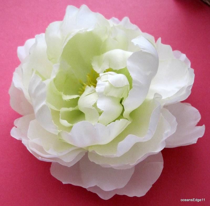 12cm Seidenblume Blume Brosche Anstecknadel Creme Weiß Pfingstrose von oceansEdge11