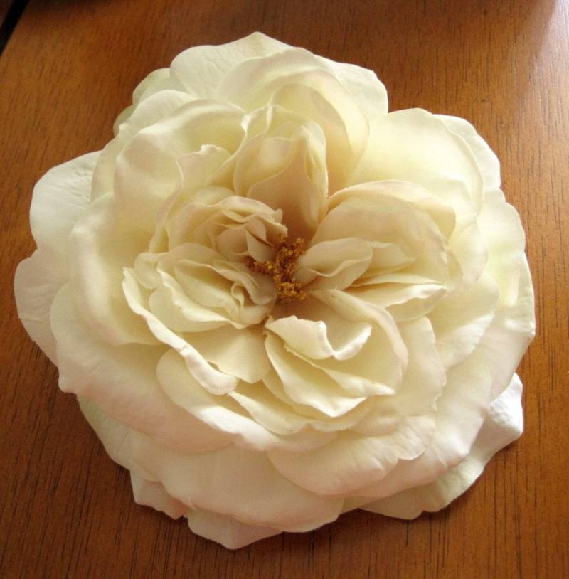 Große 14, 5 cm Creme Weiße Seide Sophia Rose Blume Haarspange von oceansEdge11