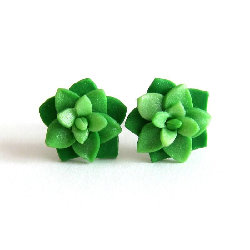 Kaktus Ohrstecker Grüner Sukkulent Mit Blumenakzent, Edelstahl von omifimo