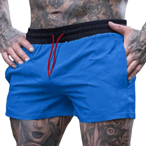 palglg Herren 4" Inseam Laufend Fitness Training Shorts mit Reißverschlusstasche ohne Futter Blau L von palglg