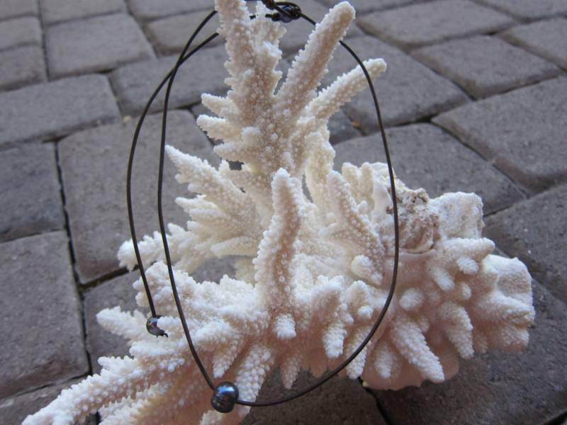 Pfau Perle Und Dk. Braun Leder Halsband Mit Lariat von pamshaffer