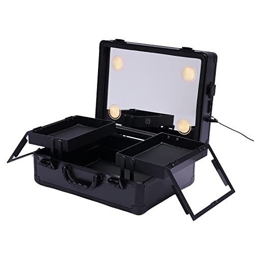 Kosmetik Aufbewahrungsbox | Kosmetik Organizer | Schmink Organizer |Makeup Train Case LED Schminkkoffer - Tragbarer Kosmetikkoffer mit Lichtern und Spiegel, großer Stauraum von panfudongk