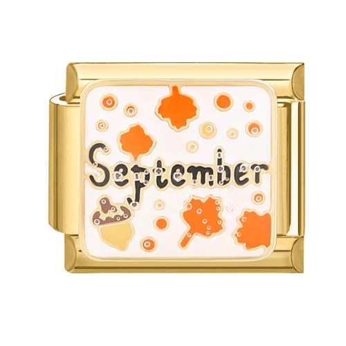 papasgix Italian Charm Bracelet Charms Gold Module für 9mm Charm Bracelets DIY Italian Style Charms für Damen 12 Monate Italienisches Charm Armband Zubehör Geschenk Gold Sep von papasgix