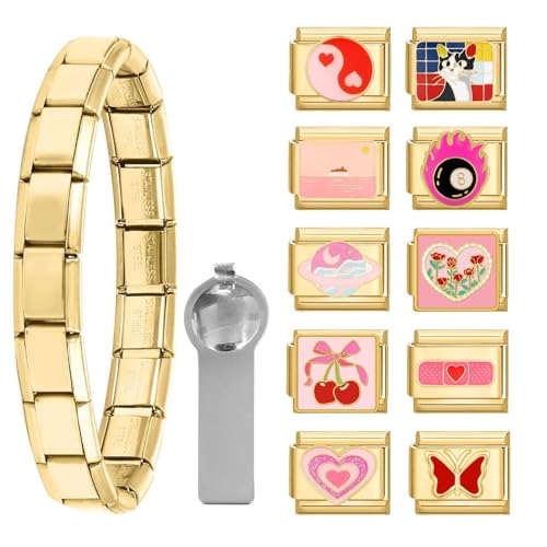 papasgix Italian Charm Bracelet Charms Gold Silber Anhänger Set 9mm Italian Charm Armband Glieder für Damen DIY Bracelet Tool Module Charms für Armbänder Kette (12er Gold Red) von papasgix