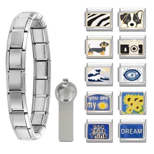 papasgix Italian Charm Bracelet Charms Gold Silber Anhänger Set 9mm Italian Charm Armband Glieder für Damen DIY Bracelet Tool Module Charms für Armbänder Kette (12er Silber Blau) von papasgix