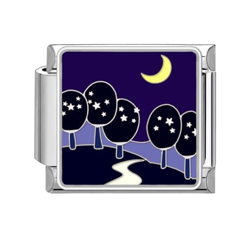 papasgix Italian Charm Bracelet Charms Silber Module für 9mm Charm Bracelets DIY Italian Style Charms für Damen Blumen Italienisches Charm Armband Zubehör Geschenk Straße Schwarz von papasgix