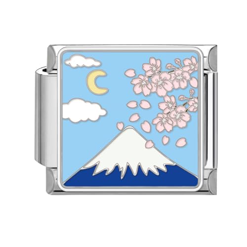 papasgix Italian Charm Bracelet Charms Silber Module für 9mm Italian Style Charms für Damen DIY Abnehmbar Blumen Italienisches Charm Armband Mädchen Junge Geschenk Blau Weiß Berg von papasgix