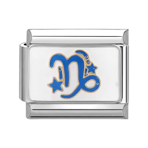 papasgix Italian Charms Module 12 Sternbilder für 9mm Italian Charm Bracelet DIY Italian Style Charms für Damen Abnehmbar Italienisches Charm Armband Mädchen Junge Geschenk Silber Steinbock von papasgix