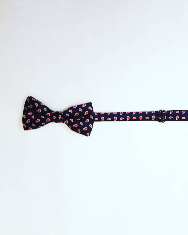 Vintage Fliege von passatosetoso