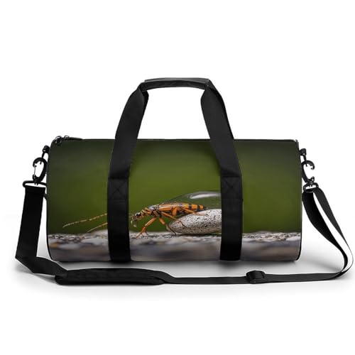 Sporttasche für Damen und Herren, Motiv: Rocks and Bugs, Handgepäck, Sporttasche, Workout, leichte Reisetaschen für Reisen und Sport von peiyeety
