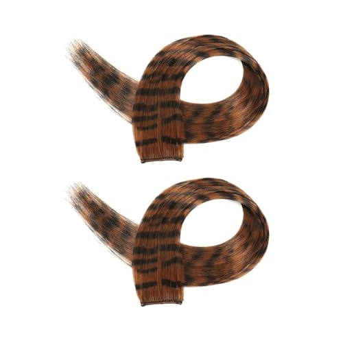 perfk 2x Farbige Haarverlängerungen Haarschmuck Clip in Bunt für Mädchen Highlights Strähne Haarteil für Cosplay Neujahrsgeschenk, Braun von perfk