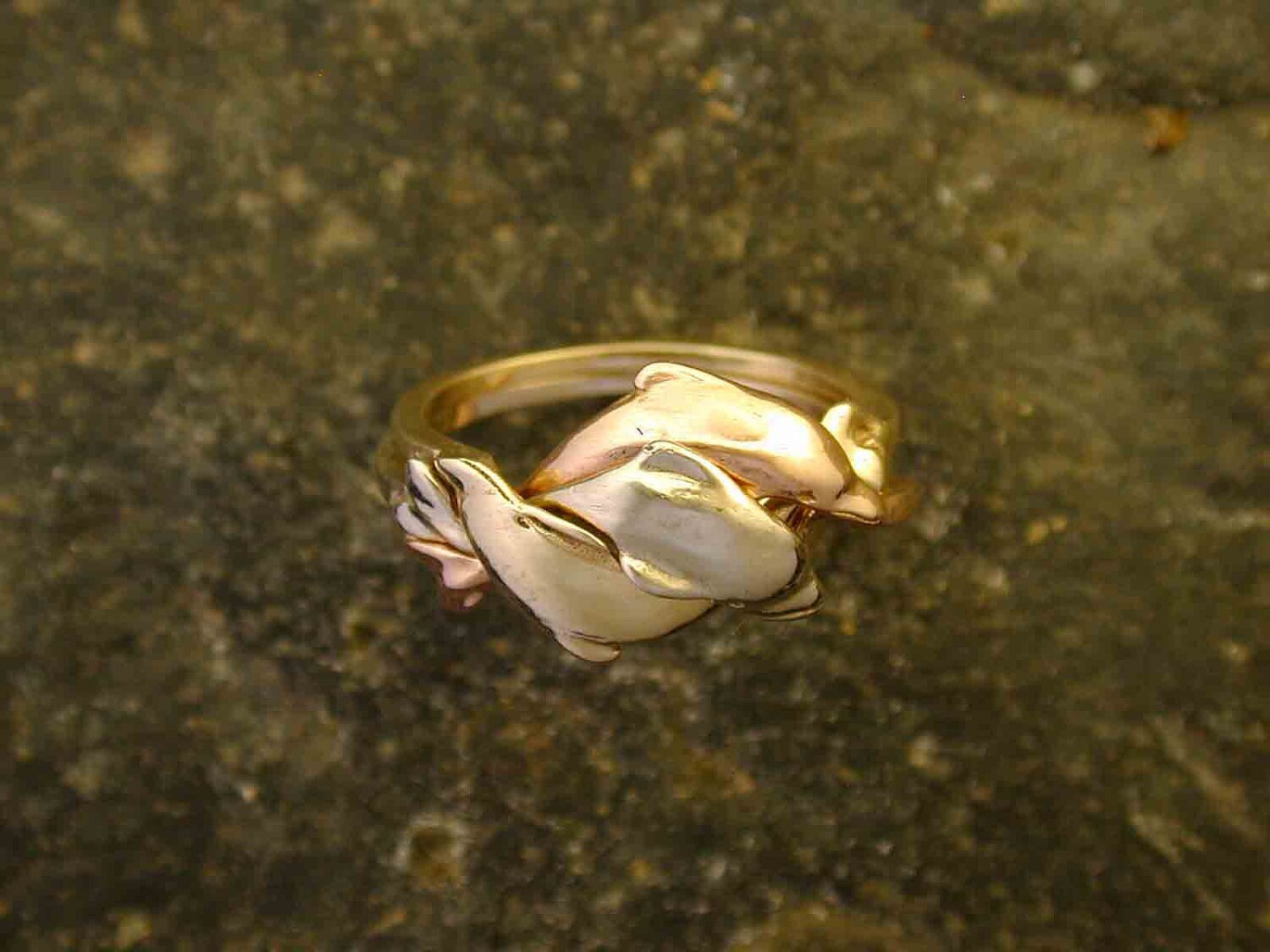 14K Weißgold, Roségold, Gelbgold Delfin Puzzel Ring 14K Weißgold, Roségold, Gelbgold Delfin Puzzel Ring von peteconder