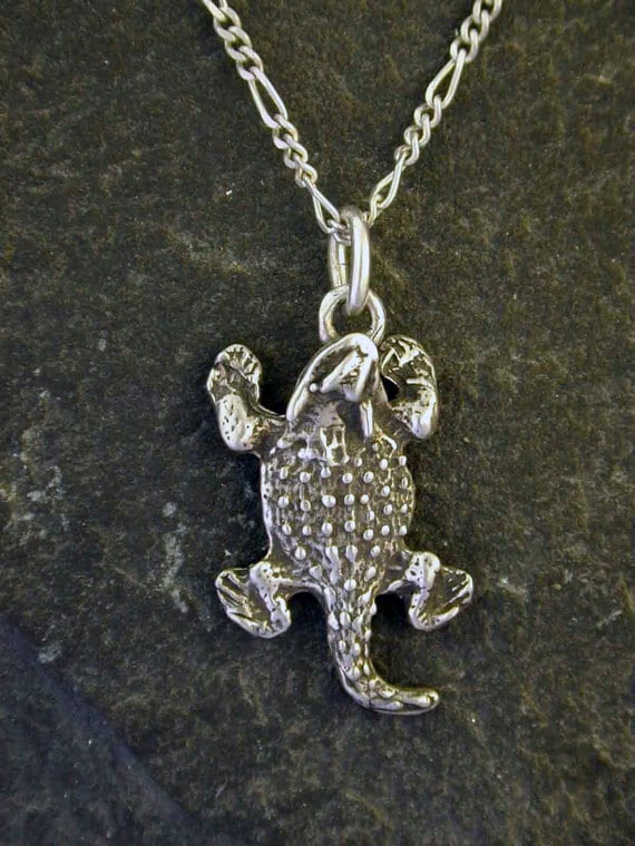 Sterling Silber Krötenechsen Geile Kröte Anhänger An Kette Aus Sterlingsilber von peteconder