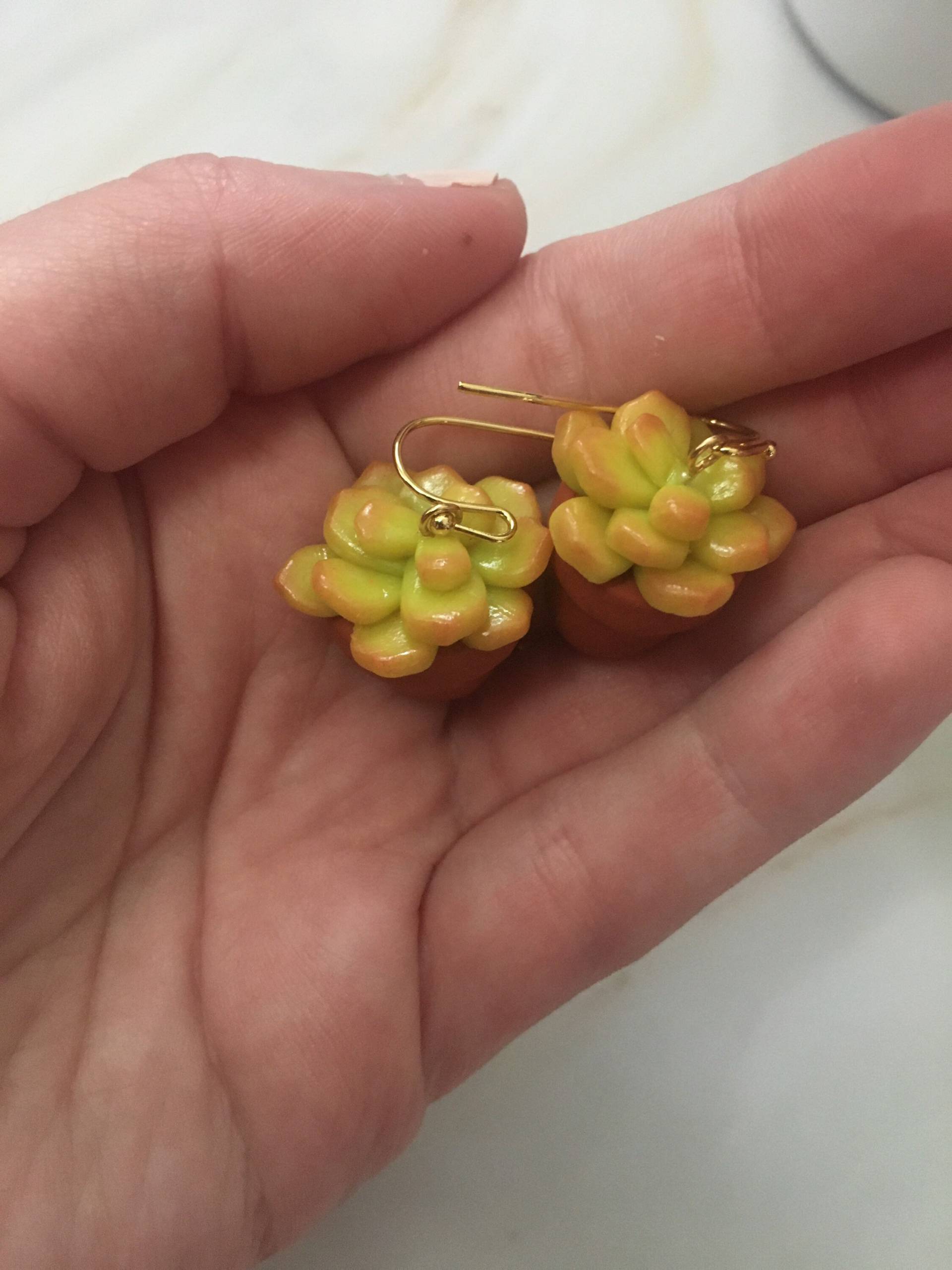 Sukkulenten Ohrringe Im Topf - Handgemachte Seltsame Einzigartige Neuheit Niedlicher Wunderlicher Miniaturschmuck Cottagecore von petitesserie