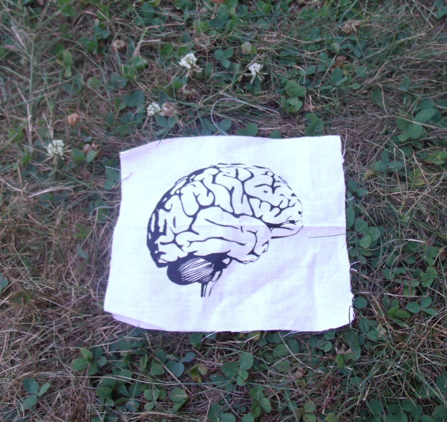 Gehirn-Patch - Wissenschaft, Anatomie, Siebdruck, Gehirne, Punk Patches, Zombie-Apokalypse, Intelligente, Menschliche, Psychologie, Smarts, Geek von phoenixcompost