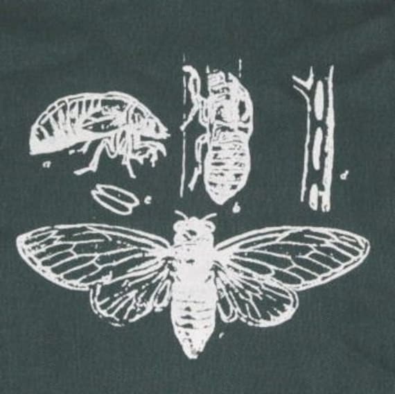 Insekten Aufnäher, Cicada Life Cycle Patch, Grün, Geek Patch von phoenixcompost