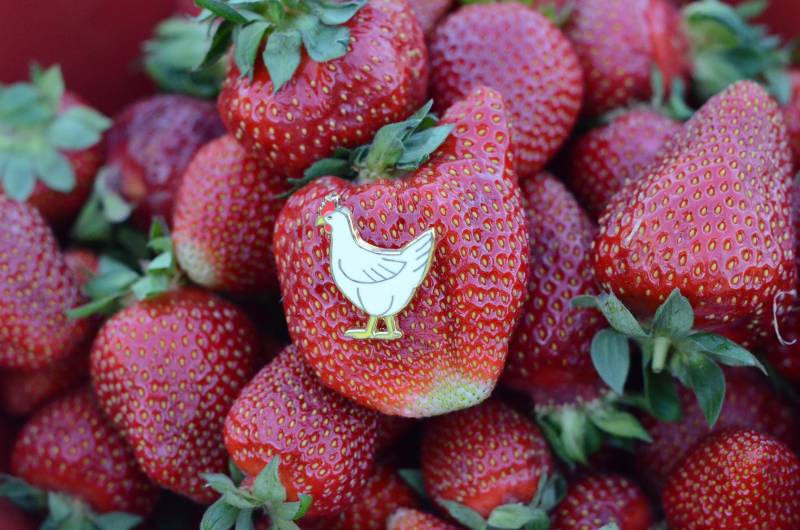 You're My Chick Pin von pinpirinpins