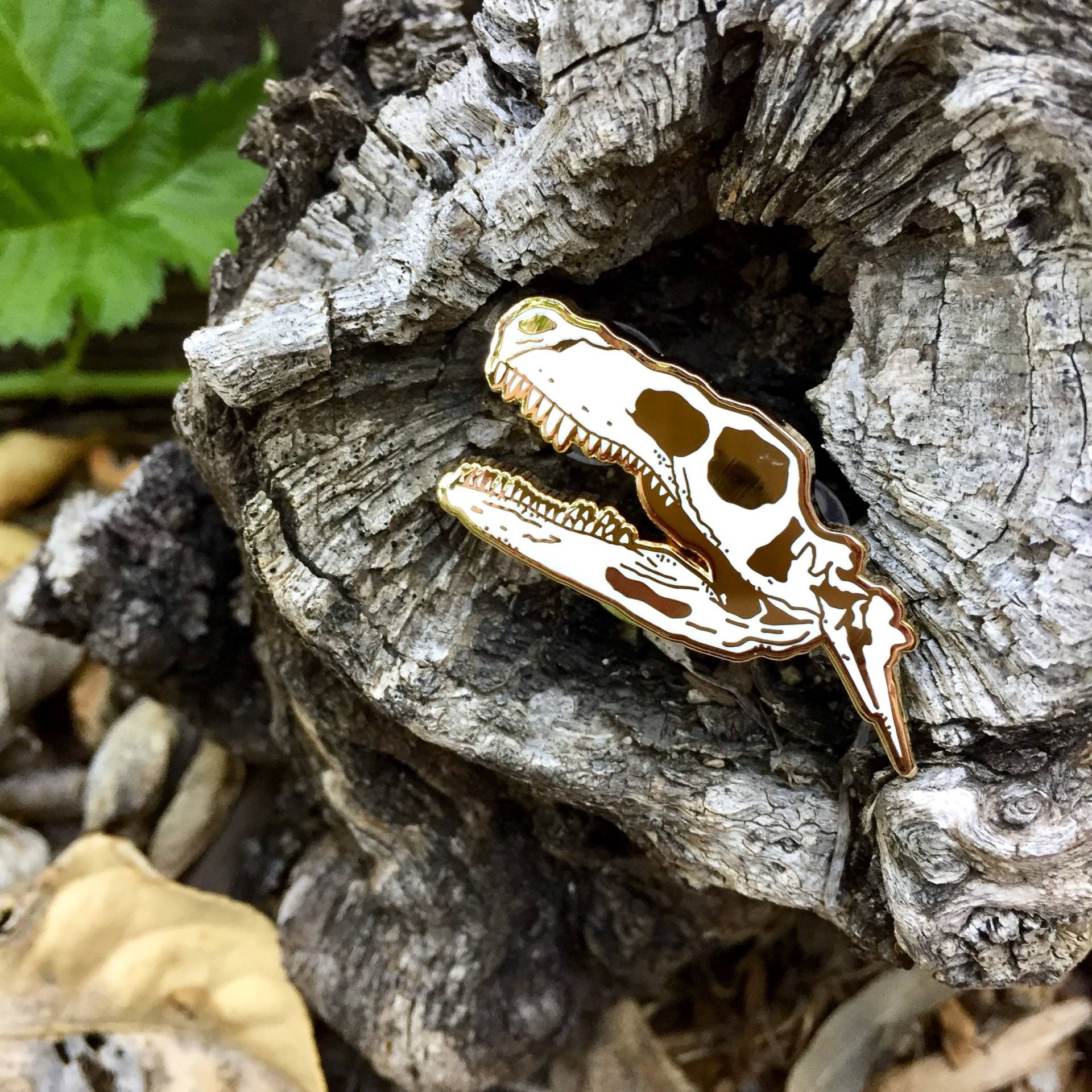 Dinosaurier Schädel Emaille Pin Dinosaurier Schädel Emaille Pin von pollywogpins
